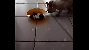 Anita, Si Manis Penggoda Yang Menggairahkan