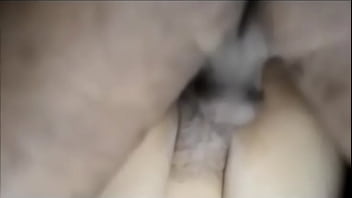 Banteng India Menggila, Sodomi Dan Tusuk Liang Sapi Sampai Meraung