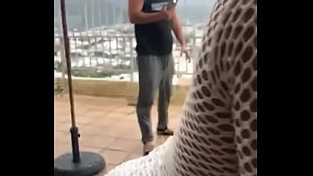 Tayangan Langsung Panas Dari Balik Layar Red Fire Tv