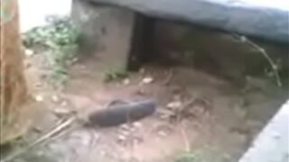 Video Panas Istri Nakal Dan Kekasihnya Bercinta Di Alam Terbuka