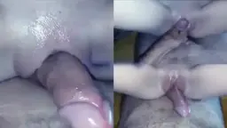 Memek Mulus Menggesek Kontol