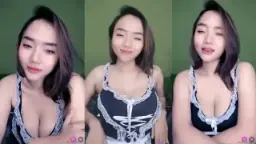 Matahari Bunga Makin Berkilau Dan Menggoda